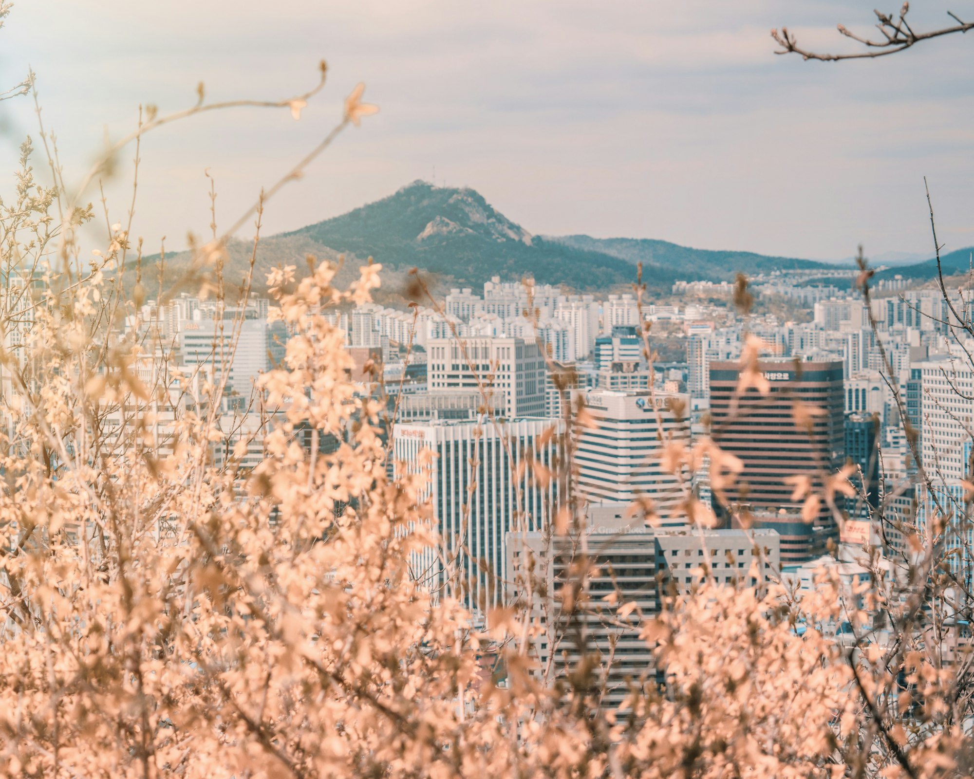 촬영 가이드: 밝은 낮의 도시 전경, 산과 도심이 함께 보이는 컷